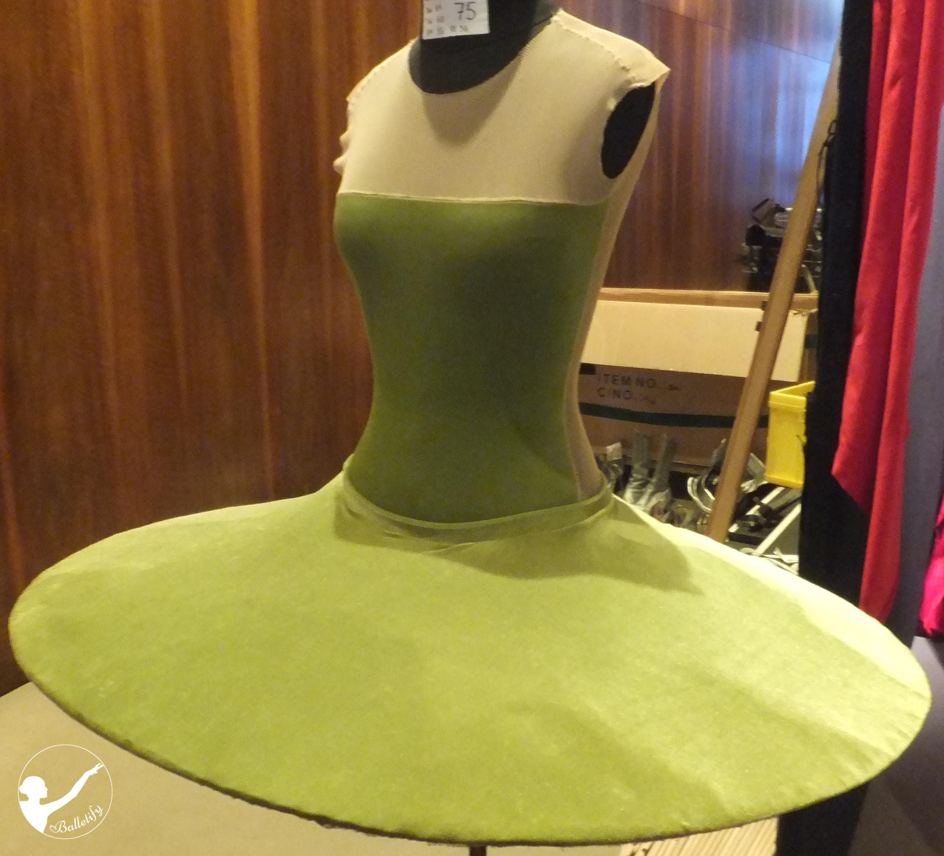 in-the-middle-somewhat-elevated-tutu